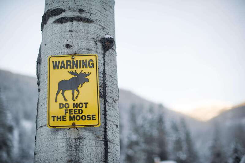 Banff: Explore Winter Nature Walk - Ice Cleats Included 2H - Practical Tips for Travelers