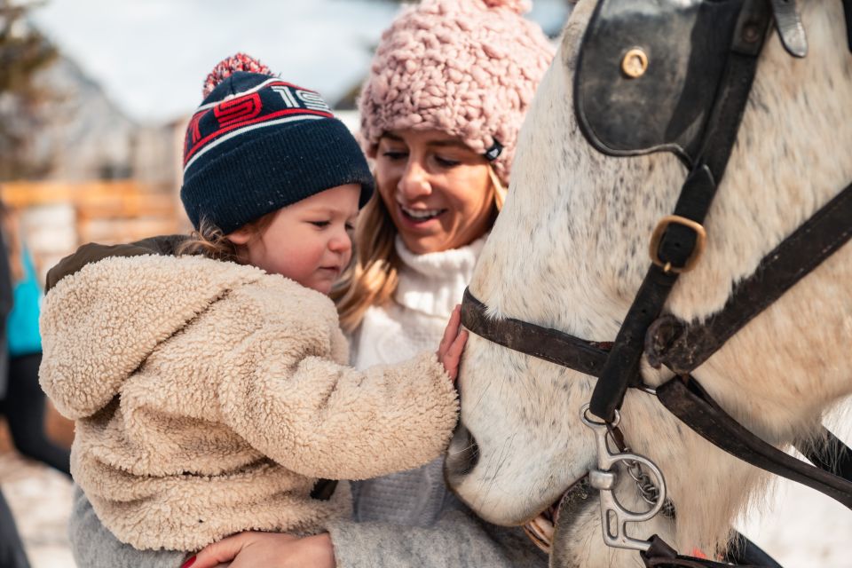 Banff: Family Friendly Horse-Drawn Sleigh Ride - Cozy Sleigh Ride Experience