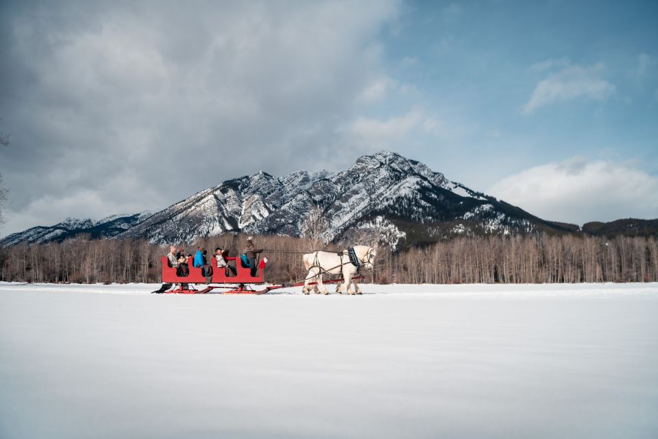 Banff: Family Friendly Horse-Drawn Sleigh Ride - Family-Friendly Activity