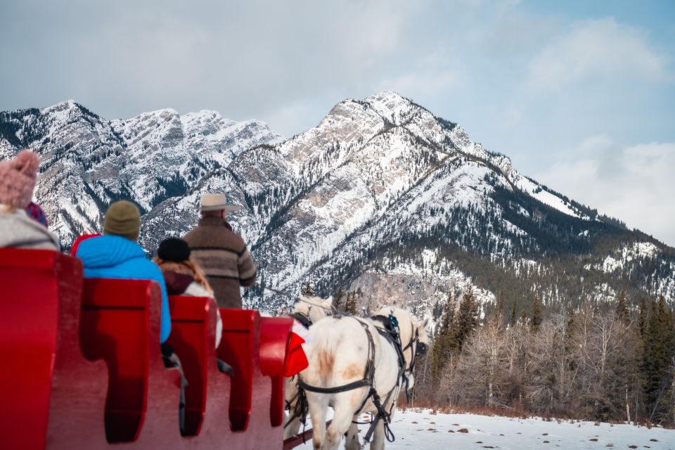 Banff: Family Friendly Horse-Drawn Sleigh Ride - Accessibility and Policies