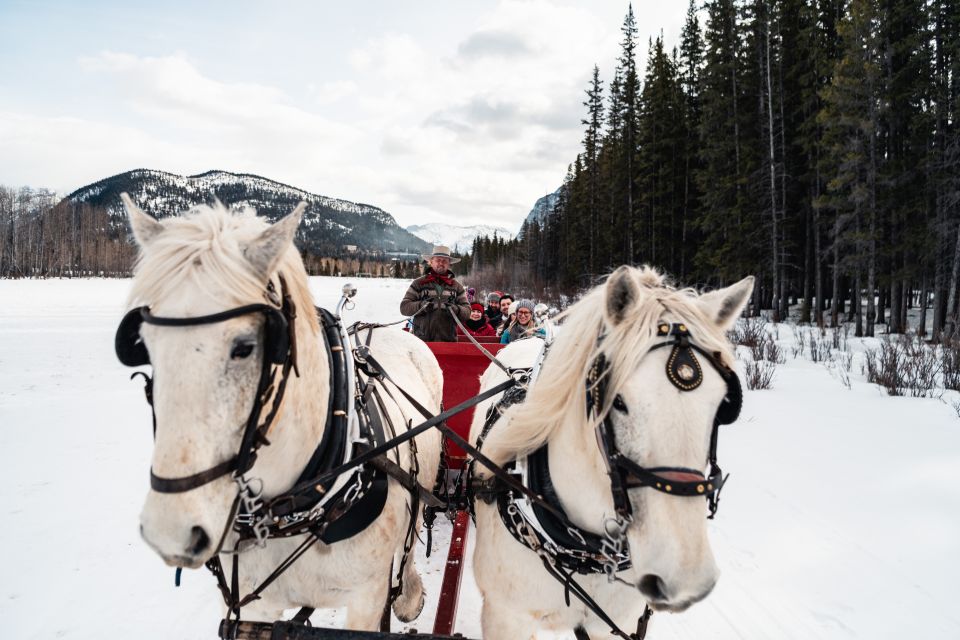 Banff: Family Friendly Horse-Drawn Sleigh Ride - Directions to Stables