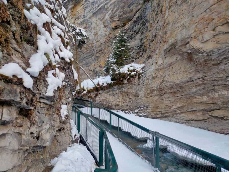 Banff Gondola Johnston Canyon Lake Minnewanka Banff day tour - The Authentic, Scenic Charm of Banff