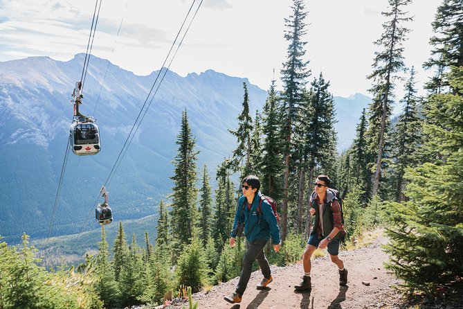 Banff Gondola Ride Admission - Customer Reviews and Feedback