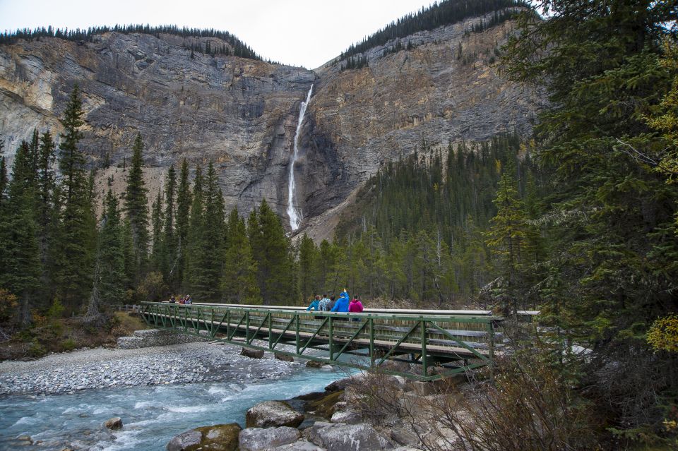 Banff: Grizzly Bear Refuge Tour With Lunch - Grizzly Bear Refuge Tour
