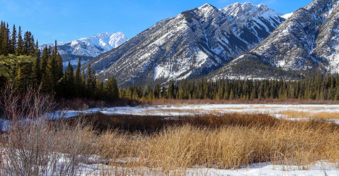 Banff: Historic Cave & Basin Self-Guided Walking Audio Tour - History of Banff National Park
