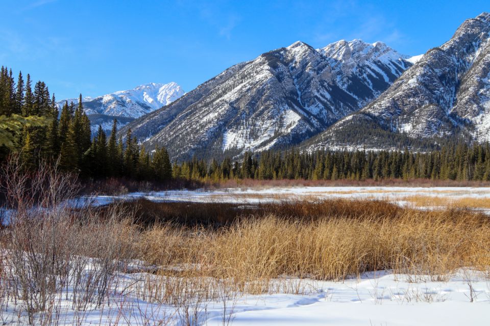 Banff: Historic Cave & Basin Self-Guided Walking Audio Tour - Frequently Asked Questions