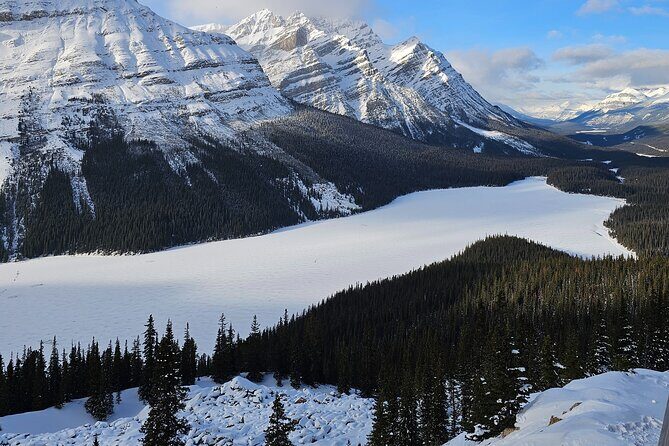 Banff, Icefield Pkwy Full Day Winter Wonderland Private Tour - Key Points