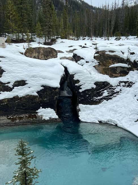 Banff: Lake Louise, Emerald Lake, and Johnston Canyon Tour - Final Thoughts