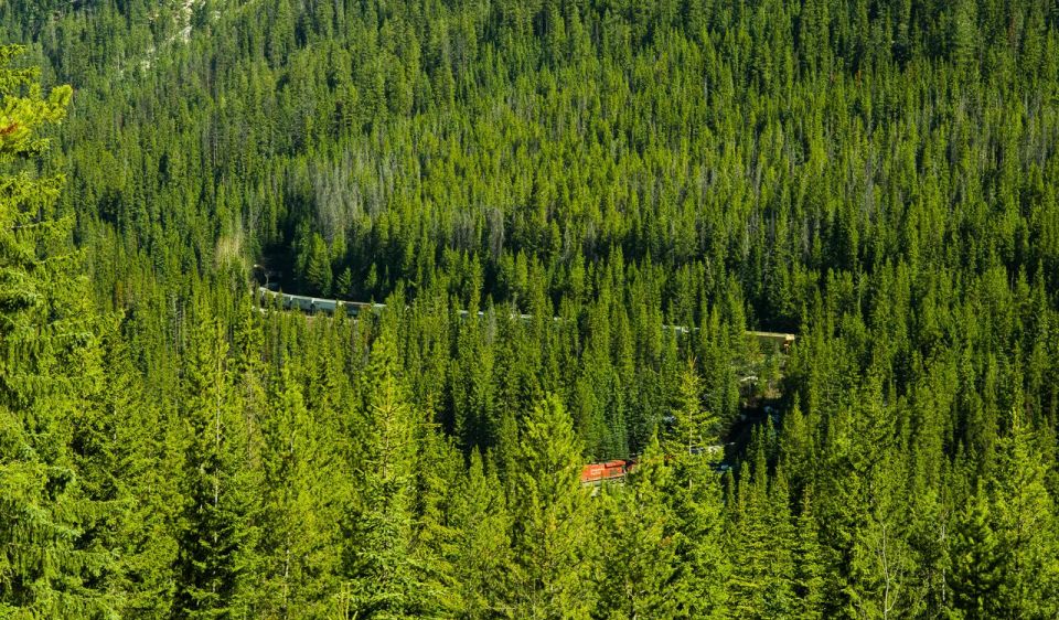 Banff: Lake Louise, Moraine Lake, and Emerald Lake Tour - Itinerary Highlights
