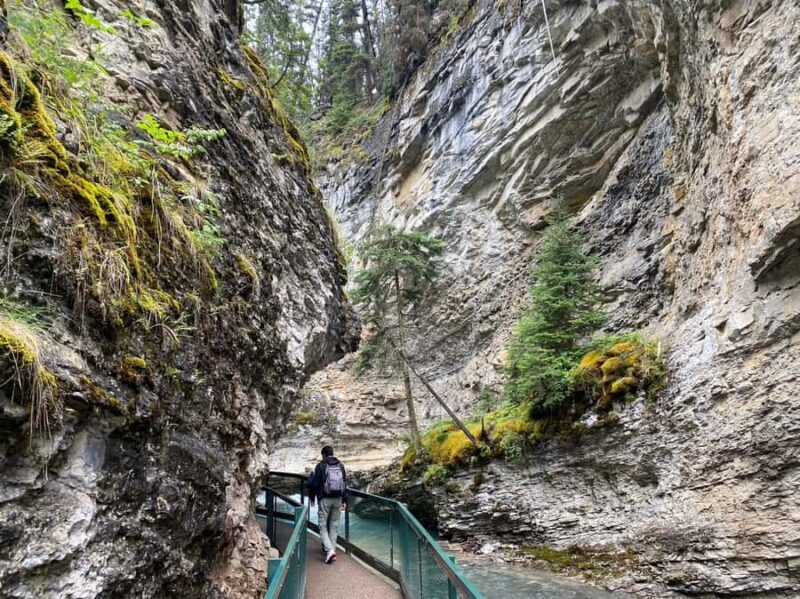 Banff: Louise & Moraine Lake or Johnston Canyon 1/2 Day Tour - Timing and Duration