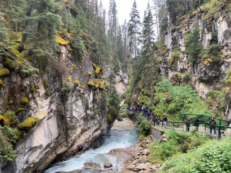 Banff: Louise & Moraine Lake or Johnston Canyon 1/2 Day Tour - What Makes This Tour Special