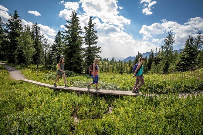 BANFF Medicinal and Edible Plants Nature Walk - 2 Hours - Detailed Breakdown of the Itinerary