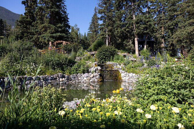 BANFF Medicinal and Edible Plants Nature Walk - 2 Hours - Who Will Love This Tour?
