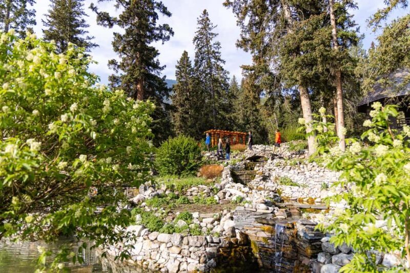 Banff Morning Tour Scenic Highlights and Gondola Ride - The Experience for Different Travelers