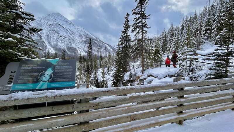 Banff National Park: Canyons, Lakes & Local Favourites - Iconic Views: Bow Falls and Surprise Corner