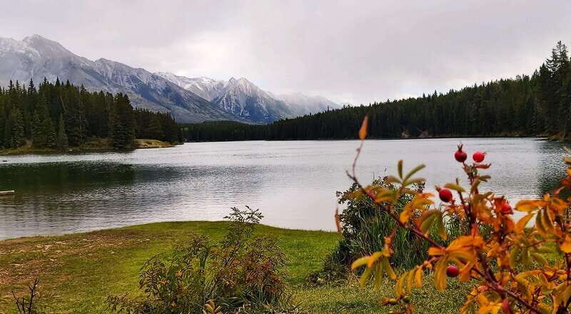 Banff National Park: Full-Day Adventure - Key Points
