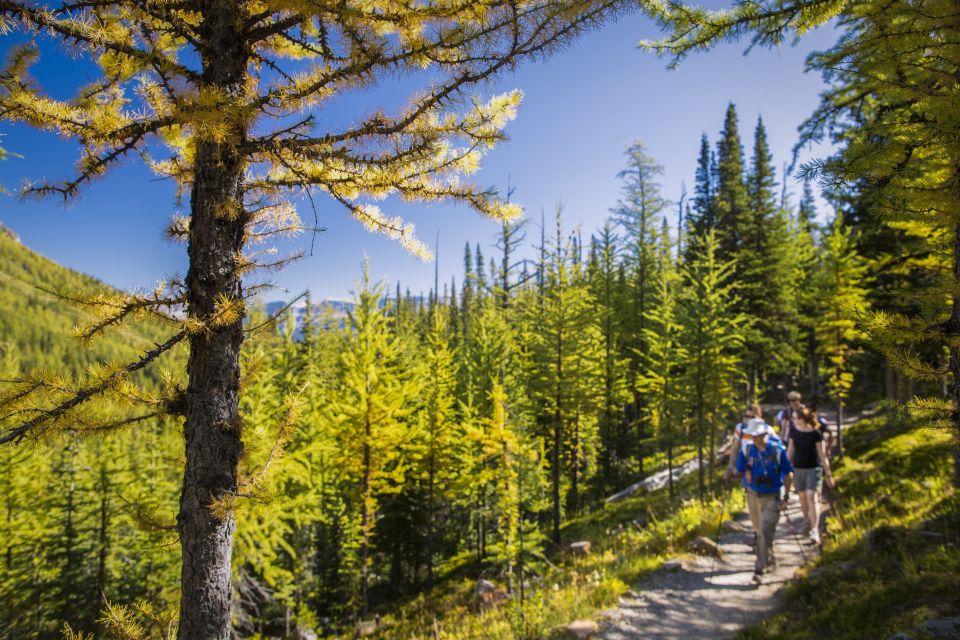 Banff National Park: Guided Signature Hikes With Lunch - Details of Consolation Lakes Hike