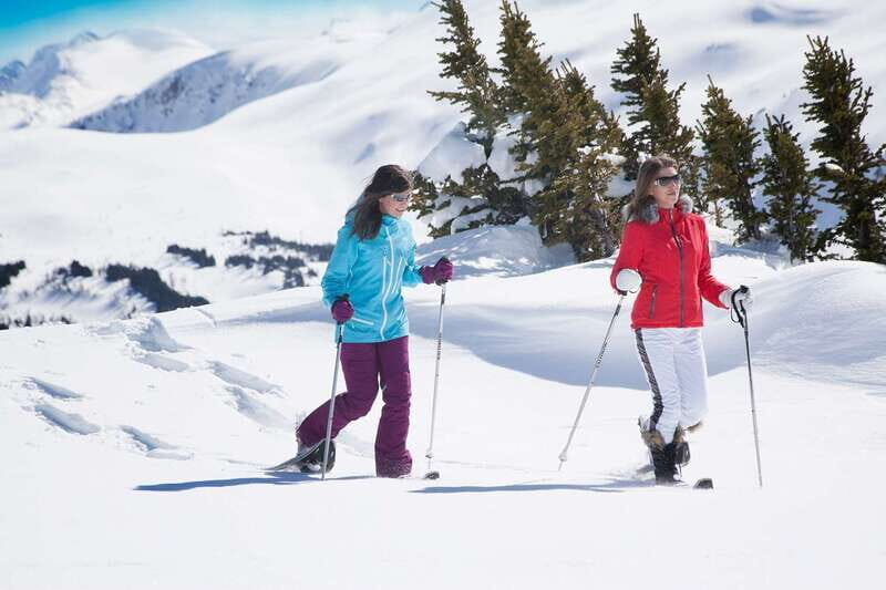 Banff National Park: Sunshine Meadows Snowshoeing Experience - Who This Tour Is Best For