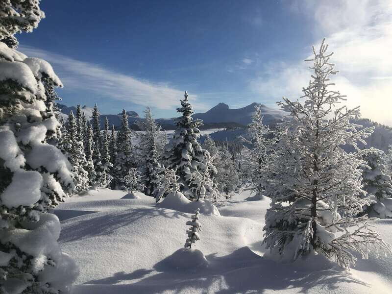 Banff National Park: Sunshine Meadows Snowshoeing Experience - Frequently Asked Questions