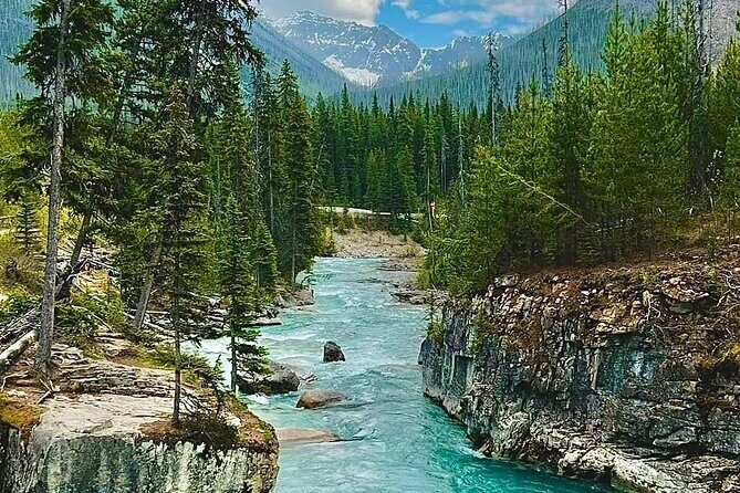 Banff National Park Tour with a Small Group - An In-Depth Look at the Tour Experience