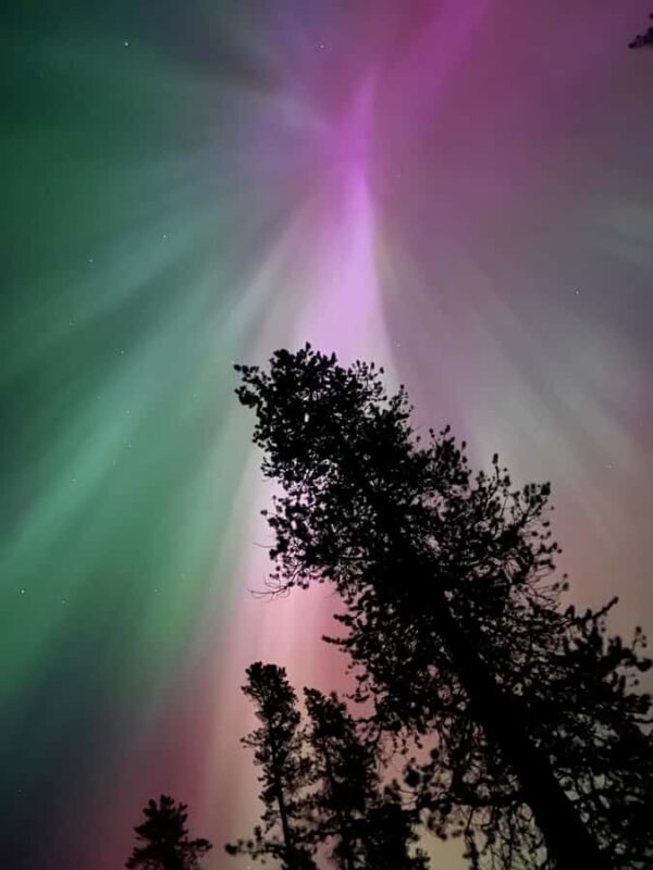 Banff Night Sky: Northern Lights and/or Stargazing Tour - Who Should Consider This Tour?