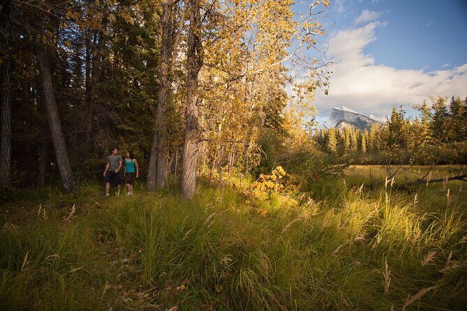 Banff: Private Guided Nature Walk - 2H - An In-Depth Look at the Experience