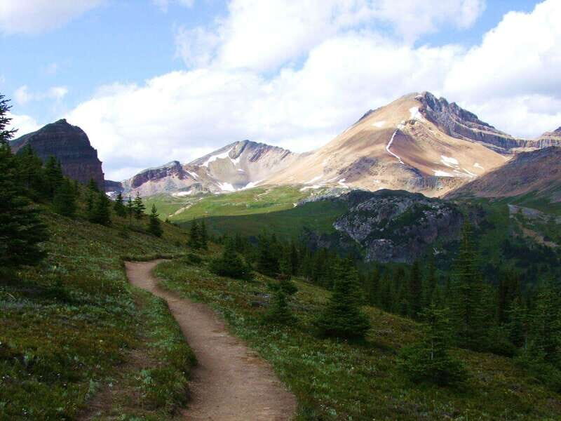 Banff PRIVATE Guided Nature Walk + Transportation - 2.5H - Who Should Consider This Tour?
