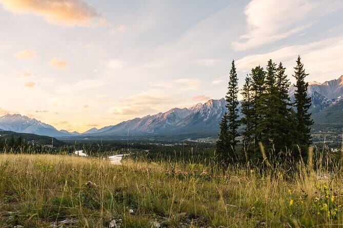 Banff PRIVATE Safari Drive and Custom Nature Walk -4H - Who Will Love This Tour?