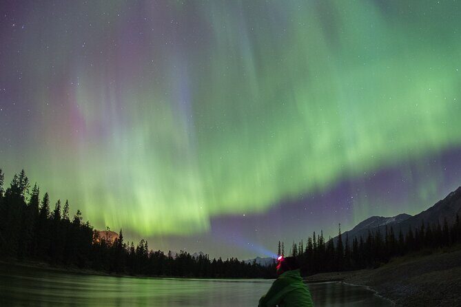 BANFF: Remote Campfire Experience with Stargazing Opportunities - What the Reviews Say