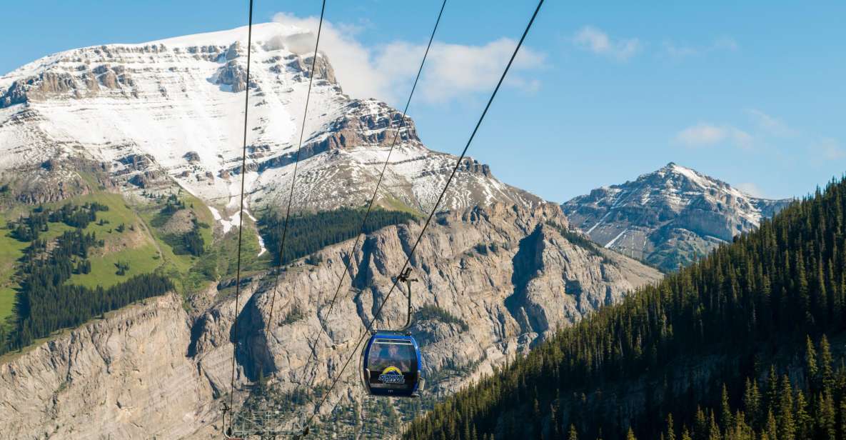 Banff: Sunshine Sightseeing Gondola and Standish Chairlift - Wildlife Spotting Opportunities