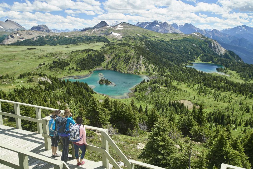 Banff: Sunshine Sightseeing Gondola and Standish Chairlift - Arrival and Mobility Considerations