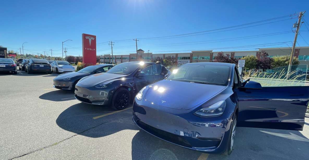 Banff to Calgary YYC Airport (Private Transfer With Tesla) - Appropriate Luggage Considerations