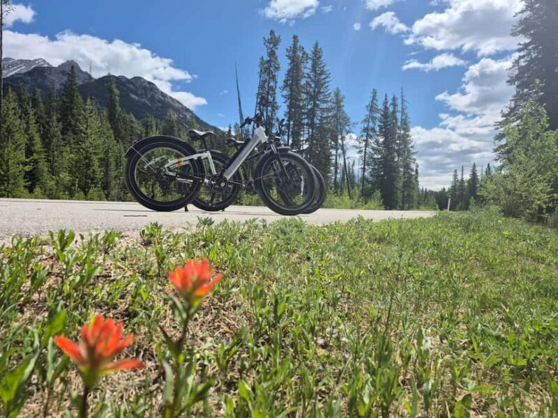 Banff Top Sights E-Fat Bike Tour All Skill Levels - Key Points