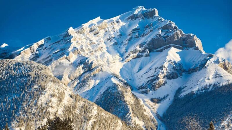 Banff: Winter Day Tour with Banff Gondola & Johnston Canyon - The Sum Up