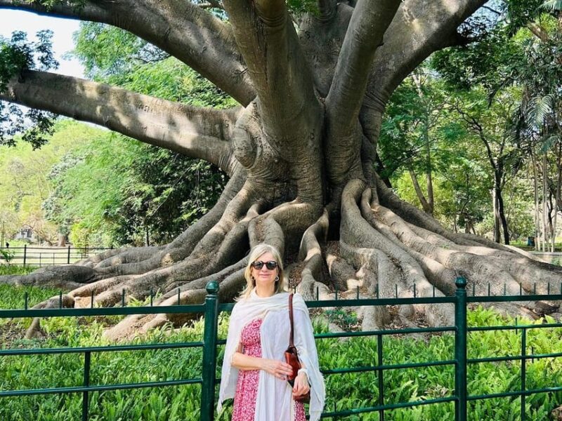 Bangalore Through the Ages - Full-Day Tour With Lunch - Included Services