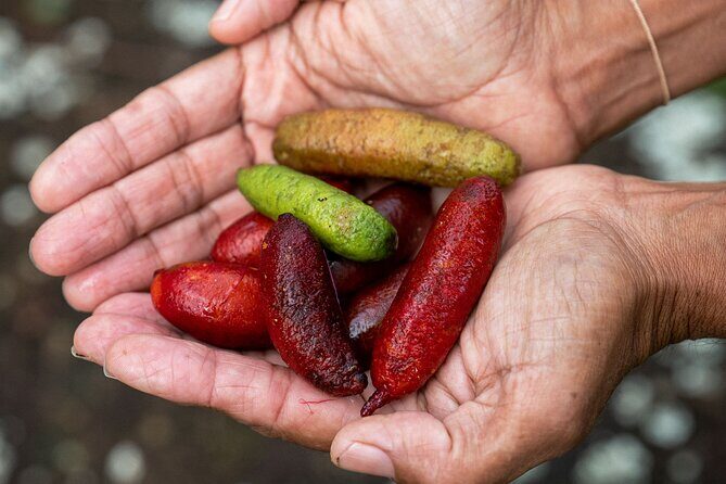 Bangalow Native Bush Food Tour - FAQ
