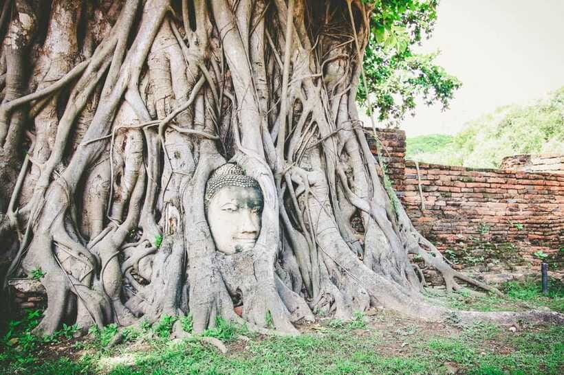 Bangkok-Ayutthaya Day Tour by Bus Return by Cruise & Hotel - Important Information