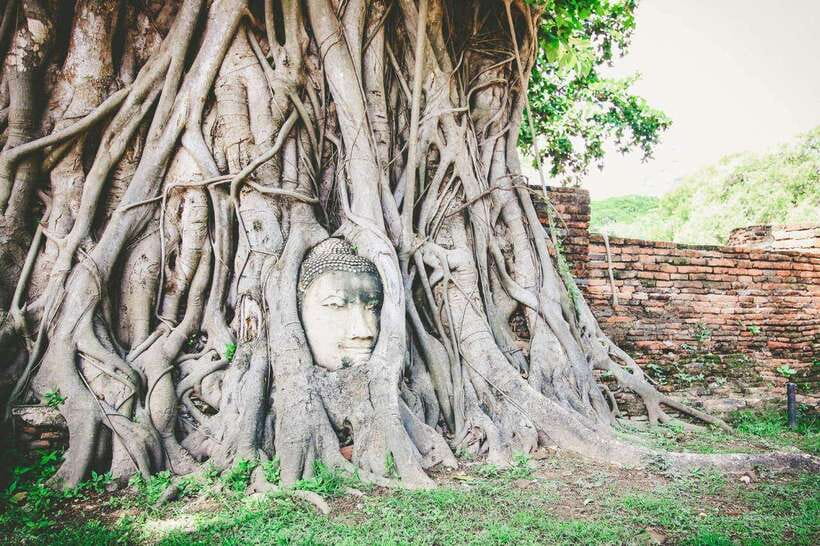 Bangkok-Ayutthaya Day Tour by Bus Return by Cruise & Hotel - Ayutthaya Highlights and Lunch