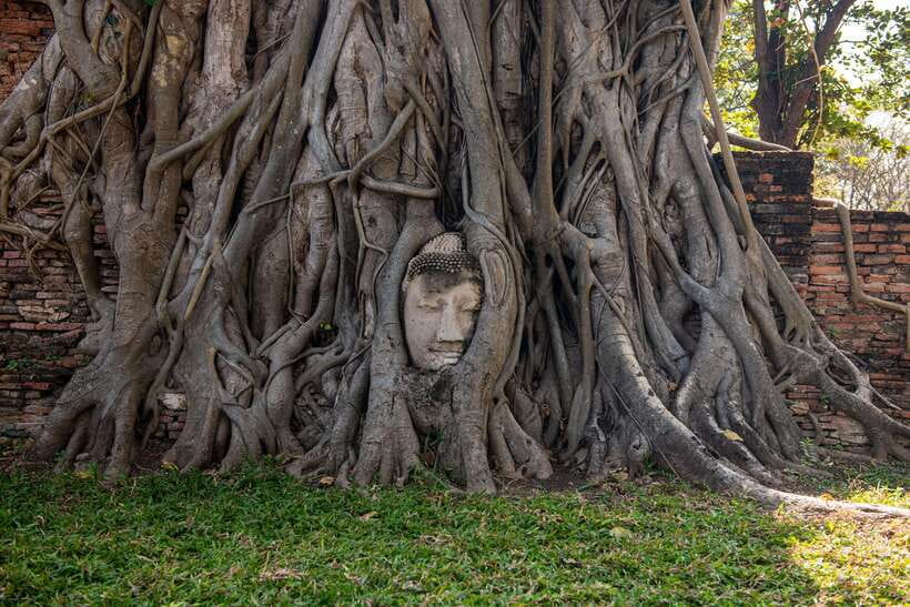 Bangkok: Ayutthaya, Railway & Floating Markets Full-Day Tour - Ayutthaya Historical Park