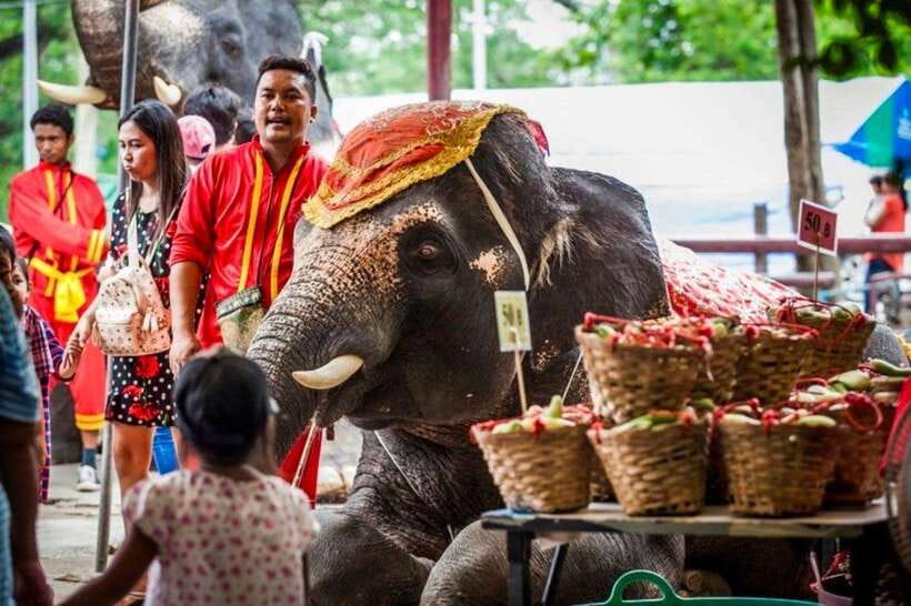 Bangkok: Ayutthaya VIP Day Trip With Boat Ride & Guide - Tips