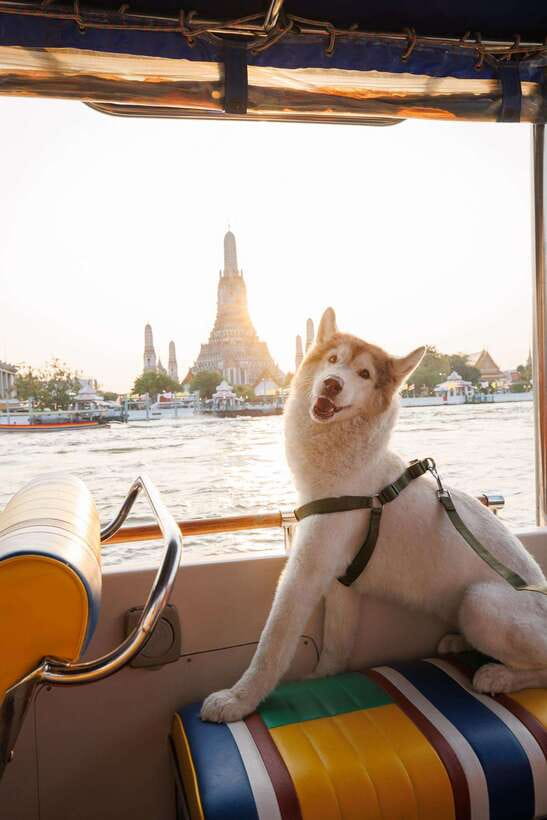 Bangkok: Boat Chao Phraya River Tuk-Tuk Boat Tour - Frequently Asked Questions