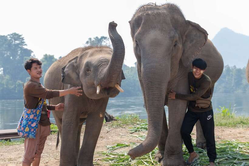 Bangkok: Elephant Sanctuary & Erawan Waterfall Tour - Sustainability and Environmental Impact