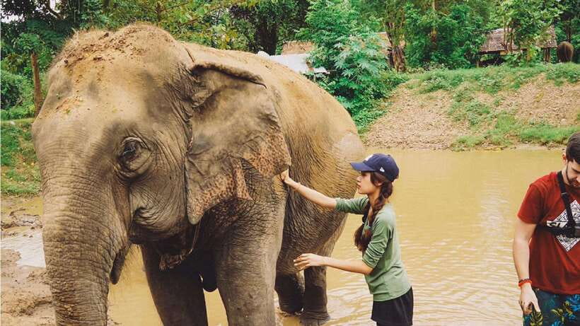 Bangkok: Elephants World & Erawan Waterfall in Kanchanaburi - Key Points