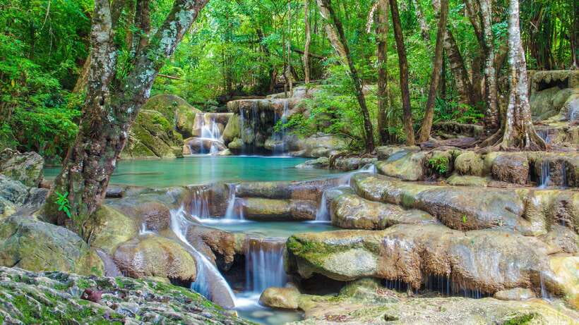 Bangkok: Elephants World & Erawan Waterfall in Kanchanaburi - Itinerary Overview