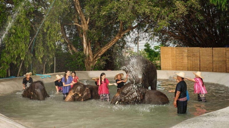 Bangkok: Ethical Elephant Care Half-Day With Transfers - Included Amenities and Exclusions