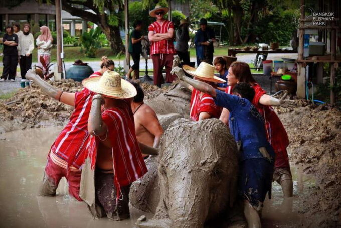 Bangkok: Ethical Elephant Care Half-Day With Transfers - What to Bring and Expectations