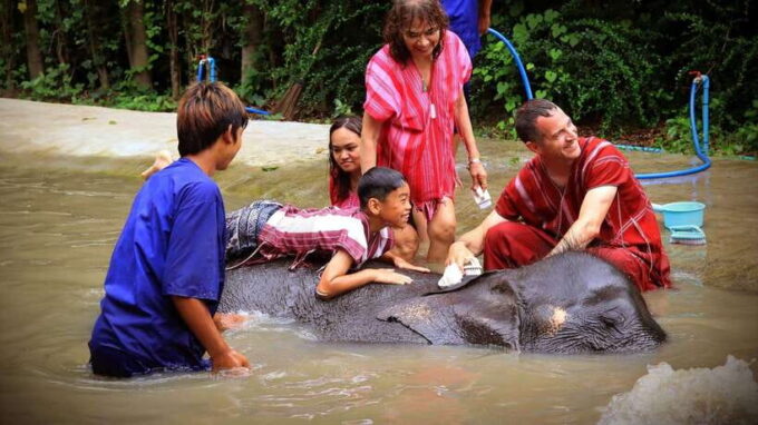 Bangkok: Ethical Elephant Care Half-Day With Transfers - Booking and Cancellation Policy