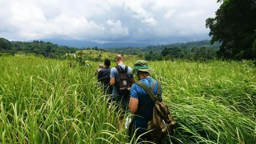 Bangkok: Khao Yai Nature Trails & Heaw Suwat Waterfall - Itinerary and Highlights