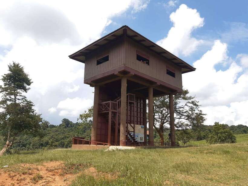 Bangkok: Khao Yai Nature Trails & Heaw Suwat Waterfall - Inclusions and Exclusions