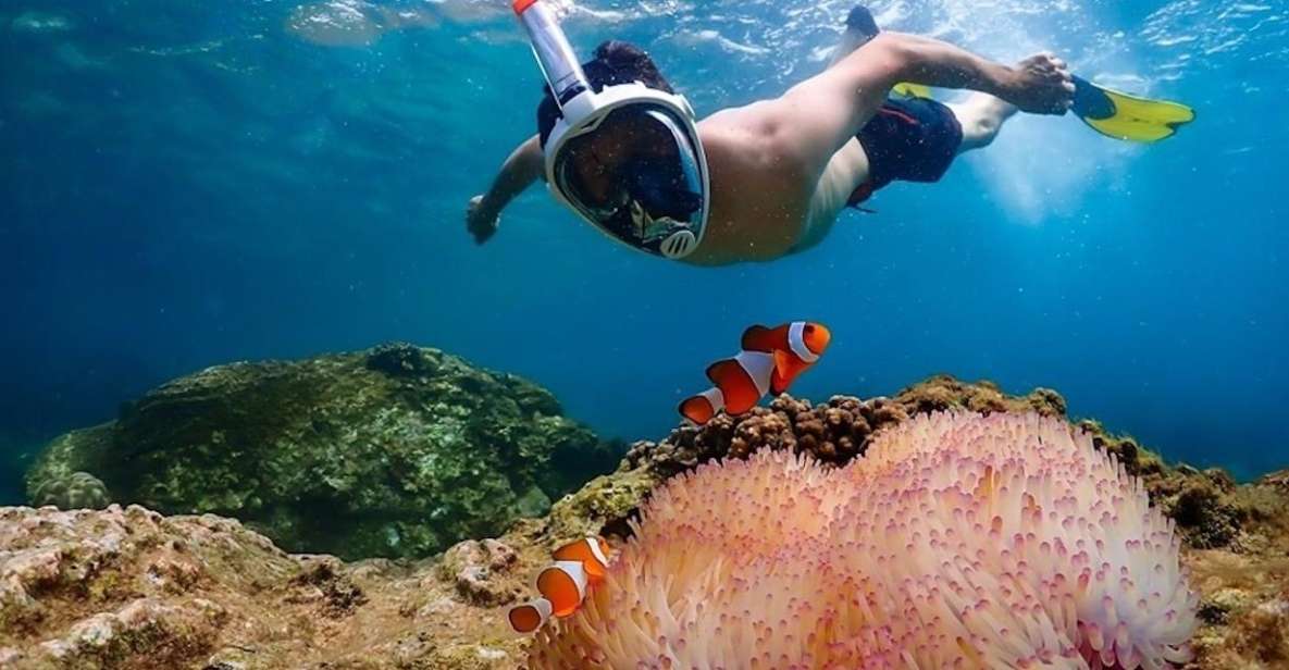 Bangkok: Nemo Island Day Trip With Drone Photos and Lunch - Key Points